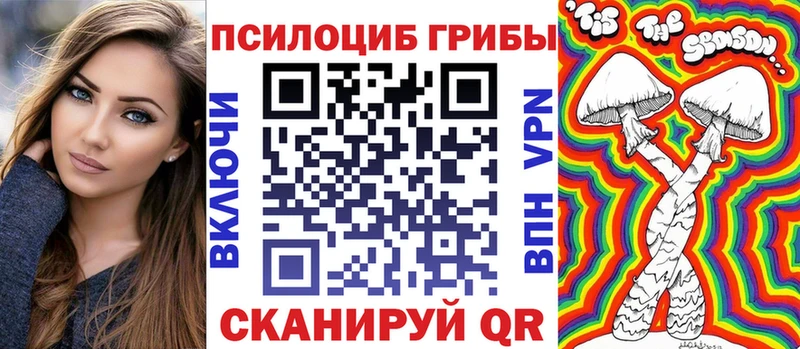 Купить закладки  Бокситогорск  Псилоцибиновые грибы Psilocybe 